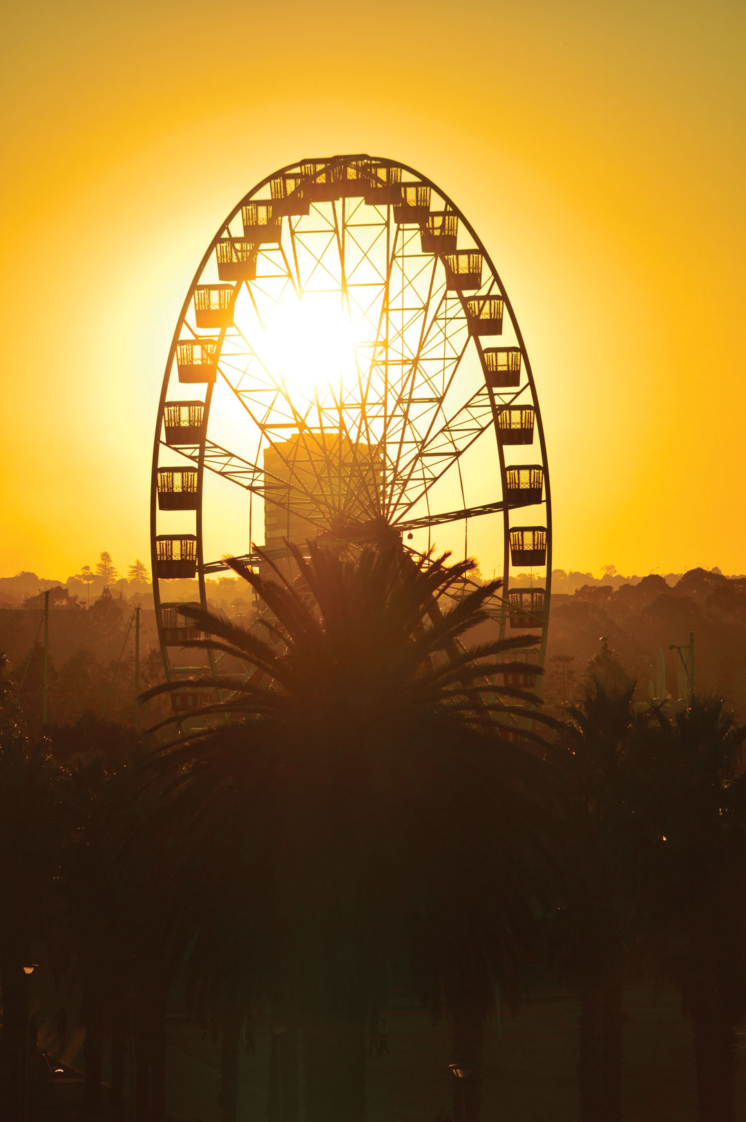 Geelong Ferry Wheel
